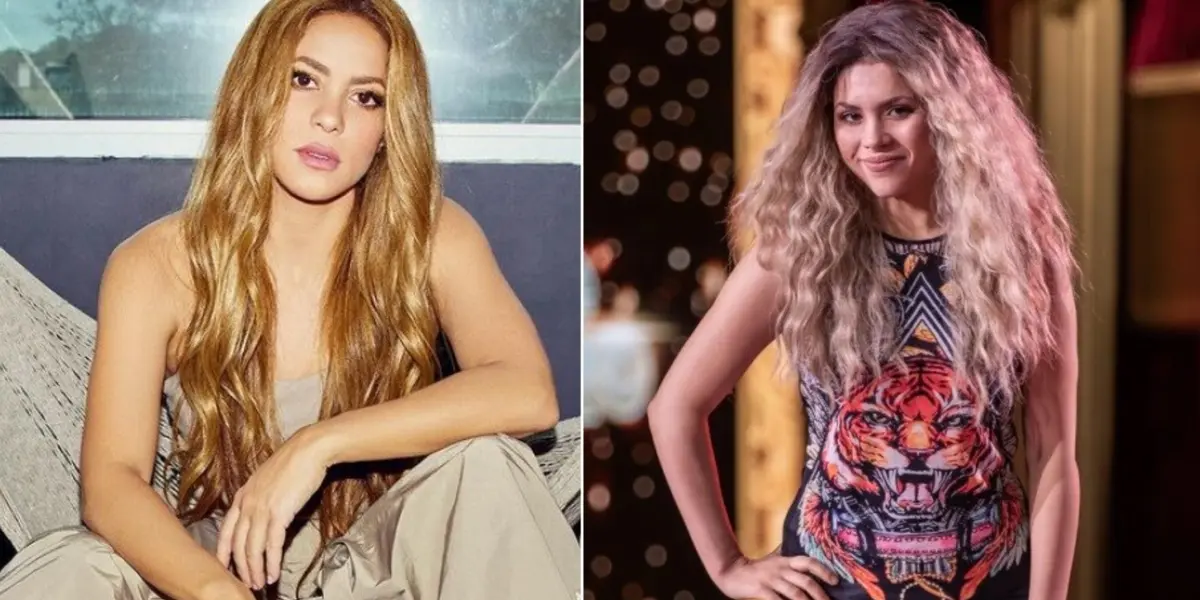 Shakira y Shakira de Yo me llamo. Imagen tomada de Noticias Caracol