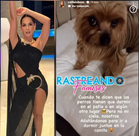Carmen Villalboos y su historia de Instagram. Imagen tomada de Rastreando Famosos