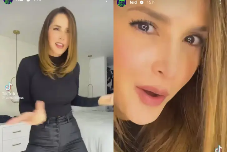 Carmen Villalobos en las historias de Instagram de Feid.