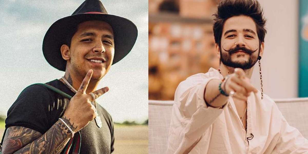 Ambos cantantes están en su mejor momento profesional dado que tienen proyectos musicales ambiciosos y lucrativos.