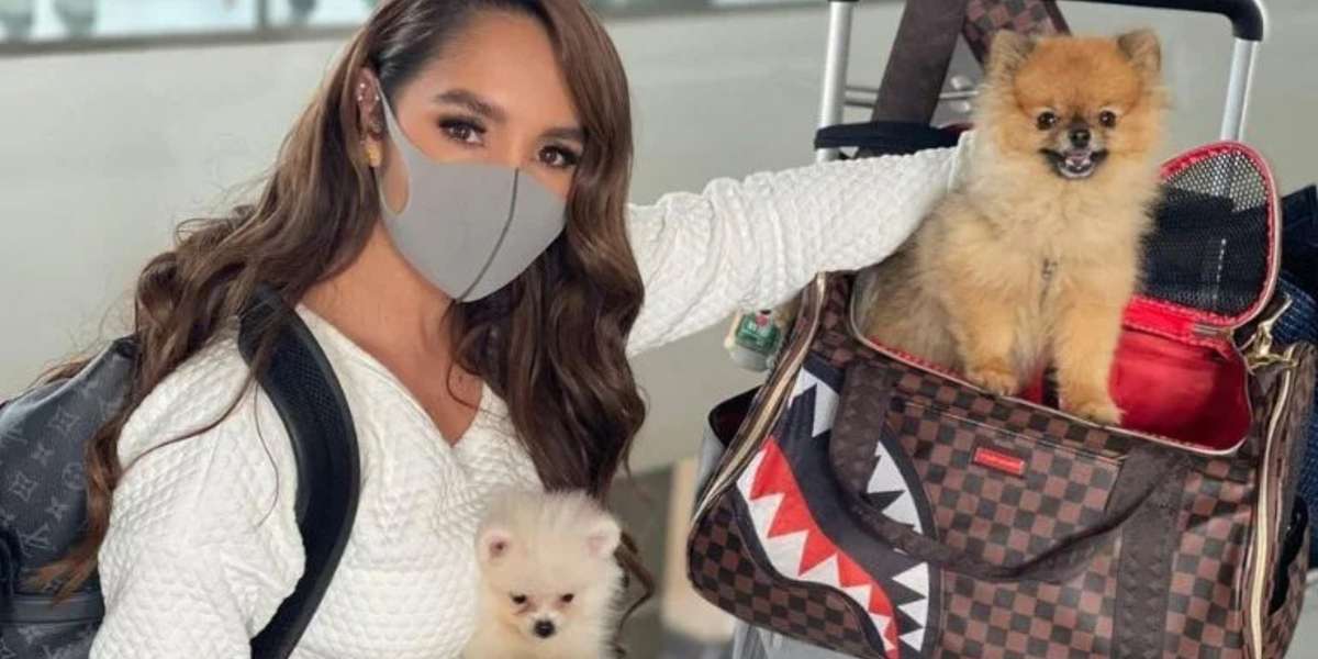 La cantante es de las que ve a sus mascotas como sus hijos.