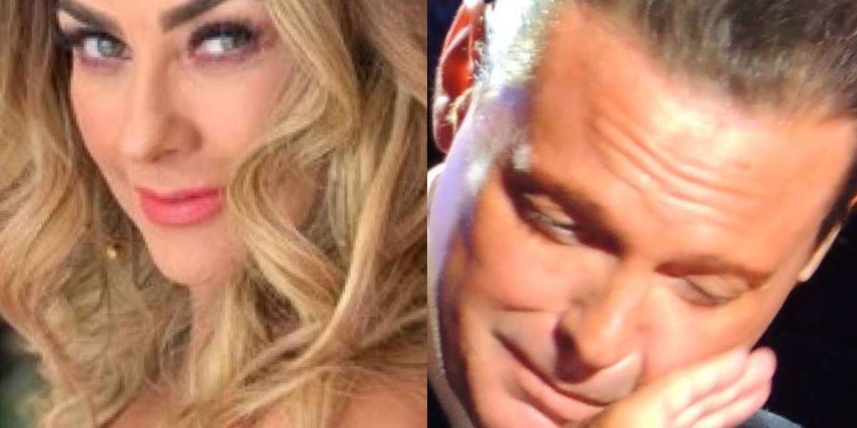 La ex esposa de Luis Miguel, Aracely Arámbula, ya no quiere que la vinculen con su esposo a pesar de tener hijos con el cantante. Pero algo desató su ira. Esto pasó.